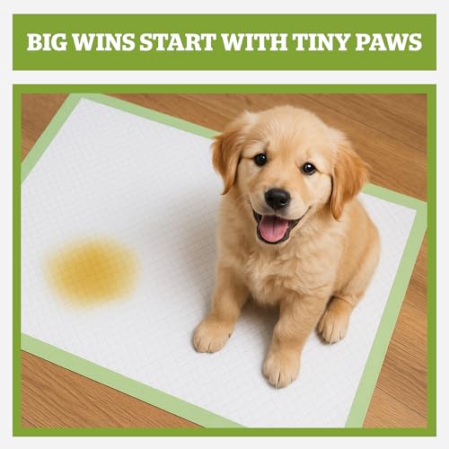 Pogi’s Dog Pads with Sticky Tabs – Large, Super Absorbent, Odor Blocking, 20-Count (24x24in) - size: Large - 24 x 24"