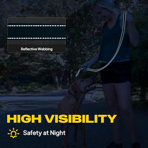 Fida 2-in-1 Slip Leads for Dogs with Double Handles, Tangle Free Leash for Large Dogs that Pull, Heavy Duty No Pull Training Leash Reflective Soft Padded for Large & Medium Breed(6ft,Blue) - color: Blue