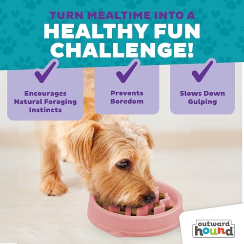 Outward Hound Fun Feeder Slo Bowl – Small 3/4-Cup Capacity,Slow Feeding,Small Dogs,Puppies & Cats,Non-Slip,Pink,Wave Pattern,(Pack of 12) - color: Pink, size: Small (Pack of 12)