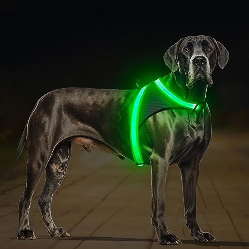 ChalkLit Light Up Dog Harness, No Pull Led Dog Harness Glow-in-The-Dark for Night Walking, USB Rechargeable Lighted Safety Vest for Medium Large Dogs, Adjustable Soft Mesh Fully Illuminated(Green, XL) - color: Green, size: Extra Large