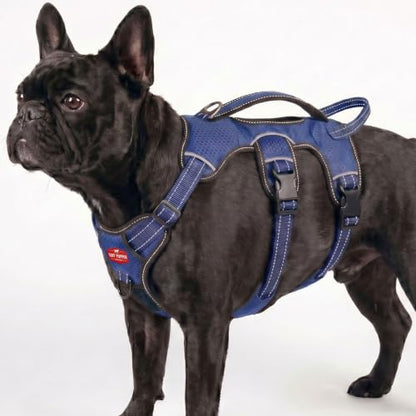 Tuff Pupper Escape Proof No Escape Dog Harness | 5 Point Adjustable Fit Harness for Dogs | Padded Dog Harnesses | Handle Dog Lift Harnesses - color: Midnight Blue, size: Small: 17-22 Inch Chest