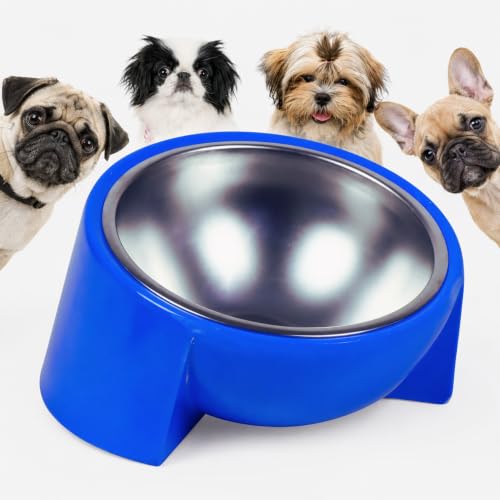 Tilted Dog Bowl for Flat-Faced & Senior Dogs, 15° Slanted Stainless Steel Dog Food Bowl, Elevated Pet Feeder for Small & Medium Dogs, Comfortable Eating Design (Blue, M (420 mL / 1.5 Cups)) - color: Blue
