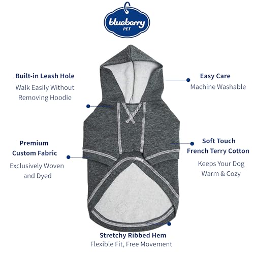 Blueberry Pet Essentials Dog Hoodie – 10 inch, Cotton‑Blend Sweatshirt with Hood, Charcoal Grey, Machine‑Washable Small‑Dog Jersey - color: Dog Hoodie - Charcoal Grey, size: 10 inch (Pack of 1)