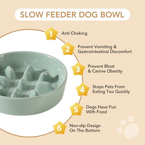 Havniva Ceramic Slow Feeder Dog Bowls, 0.9 Cups Dog Bowl Slow Feeding for Small Breed, 6.1inch Puzzle Dog Food Bowl Slow Feeder Non-Slip Anti-Gulping and Anti-Choking Reduces Bloating - color: 1 x Light Green-C, size: 6.1inch