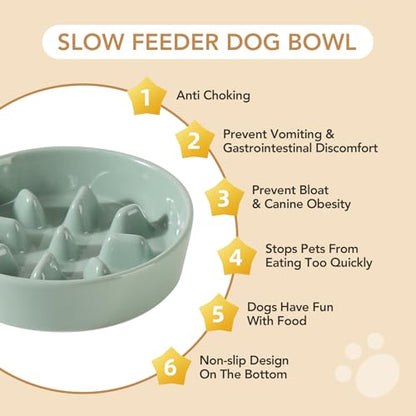Havniva Ceramic Slow Feeder Dog Bowls, 1.2 Cups Dog Bowl Slow Feeding for Small and Medium Breed, 7.3inch Puzzle Dog Food Bowl Slow Feeder Non-Slip Anti-Gulping and Anti-Choking Reduces Bloating - color: 1 x Light Green-C, size: 7.3inch