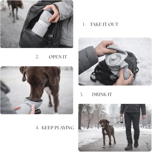 Dog Water Bottle 19oz (550ml), Leakproof Portable Dog Water Dispenser with Lock Button & Poop Bag Holder, BPA-Free Travel Water Bottle for Small, Medium & Large Dogs