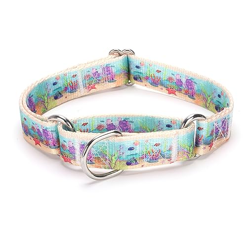 Heavy Duty Nylon Dog Collar, Adjustable Martingale Dog Collar for Walking Training Boy and Girl Dogs Medium Large Dogs (XL:53-62CM, Ocean) - color: Ocean, size: X-Large