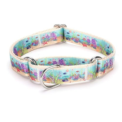 Heavy Duty Nylon Dog Collar, Adjustable Martingale Dog Collar for Walking Training Boy and Girl Dogs Medium Large Dogs (XL:53-62CM, Ocean) - color: Ocean, size: X-Large