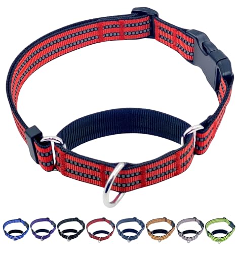 Martingale Dog Collars with Quick Release Buckle, Heavy Duty Nylon Reflective Dog Collar, NO Pull Walking Training Collar for Large, Medium, Small Dogs (Red, Extra Small) - color: Red, size: Extra Small