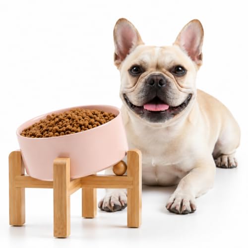 Petygooing Khaki Raised/Elevated 15°Slanted Ceramic Dog Bowl for Small Breeds,Tilted Anti Slip Pet Feeding Bowl,Food Water Dish with Stand for Cats and Small Dogs Puppy 13.5 OZ (5.1In / 1.7 Cups) - color: Khaki, size: 1.7 CUPS - Puppy/Small Dogs & Cat Bow