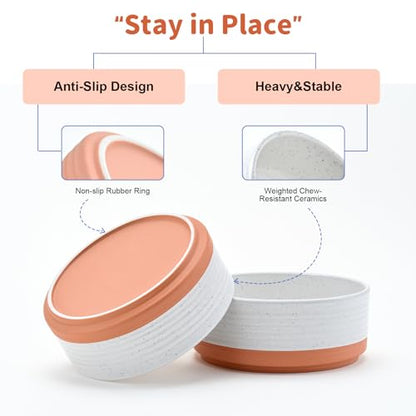 SPUNKYJUNKY Ceramic Dog and Cat Bowls 2 Pack, 5.1'' Dog and Cat Food Water Double Feeding Bowls Non-Slip for Cats and Puppy Small Sized Breed Microwave Dishwasher Safe - 13.5 OZ, 2pcs, Pattern White - color: Pattern White - Only Bowls*2, size: 5.1 in - 1.