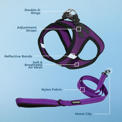 Voyager Step-in Air All Weather Mesh Harness and Reflective Dog 5 ft Leash Combo with Neoprene Handle, for Small, Medium and Large Breed Puppies by Best Pet Supplies - Purple, X-Large - color: Leash Harness Set (Purple Base), size: XL (Chest: 20.5 - 23")