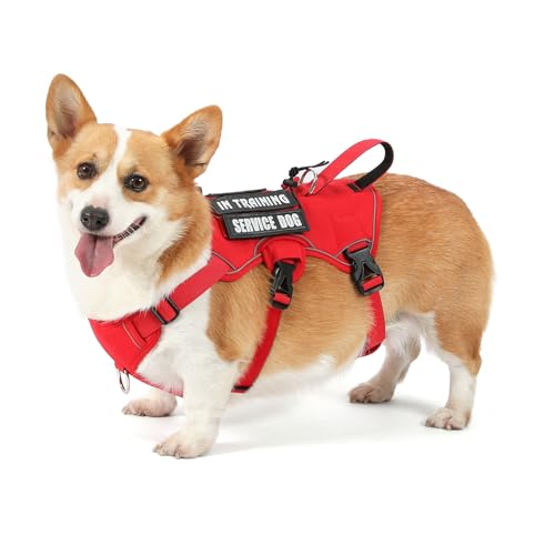 VOOPET Escape Proof Dog Harness, Soft Padded Full Body Pet Harness, Reflective No Pull Dog Harness with Handle and 2 Leash Clips for Small Dogs Walking Hiking Training (Red,S)