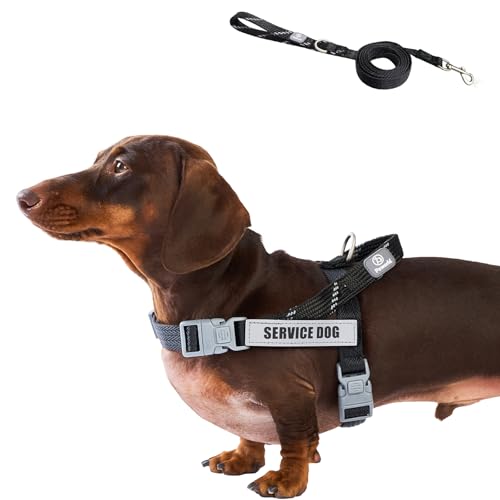 Service Dog Harness and Leash Set, No-Pull Service Dog Vest with 4 PCS Reflective Patches, Dog Vest Harness with Handle, Pet Harness for Small Medium Large Dogs in Training (Black, S) - color: Black (Leash + Harness + 4 Patches), size: Small (Chest: 19-25