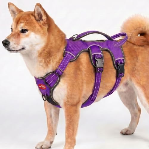 Tuff Pupper Escape Proof No Escape Dog Harness | 5 Point Adjustable Fit Harness for Dogs | Padded Dog Harnesses | Handle Dog Lift Harnesses - color: Purple, size: Medium: 22-27 Inch Chest