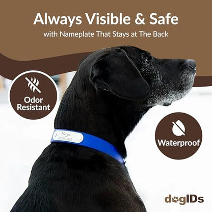 dogIDs Personalized Dog Collar – Custom Waterproof Soft-Grip Biothane with Laser-Engraved Nameplate, Durable & Odor-Resistant, USA Made | Teal, 1 in x 18 in (Fits Neck Sizes 16-20 in) - color: Teal, size: 1 in x 18 in (Fits Neck Sizes 16-20 in)