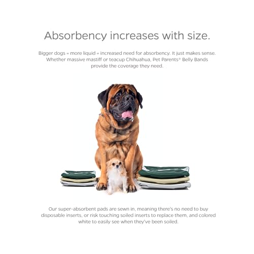 Pet Parents® Washable Belly Bands for Male Dogs (3pack) + Extendrs® of Durable Dog Diapers Male, Premium Male Dog Diapers & Dog Wraps (Small, Spruce) - color: Spruce, size: Small (13-16")