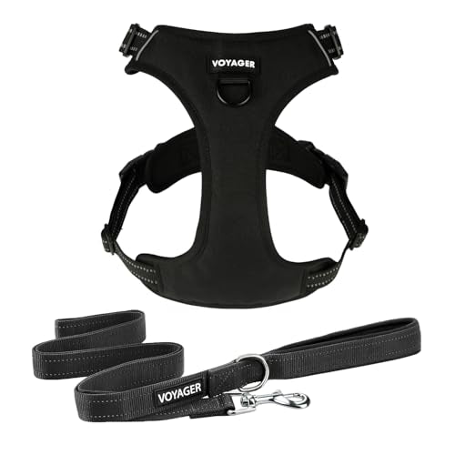 Voyager Dog Harness Dual Leash Attachment No-Pull Control Adjustable Soft but Strong Pet Harness for Medium and Large Dogs with 3M Reflective Technology, Leash Set Black Nylon, XL (Chest: 28-37") - color: Leash Set Black Nylon, size: XL (Chest: 28 - 37")
