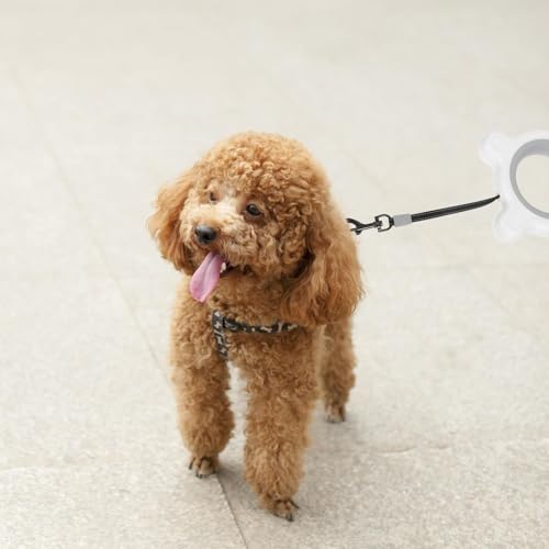 Kisangel Retractable Dog Leash 3 Meter Extendable Nylon Towing Rope with Anti-Slip Handle One-Hand Brake for Small and Medium Dogs Portable Automatic Pet Leash for Outdoor Walking