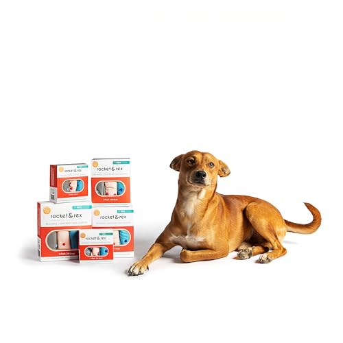 rocket & rex Washable Reusable Female Dog Diapers with Snaps (X-Large, 3ct) | Adjustable for a customized, snug fit. Includes liner pocket for extra absorbency. Guaranteed for 300 washes. - size: Extra Large