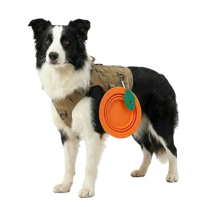 Collapsible Silicone Dog Bowl (Orange) - color: Orange