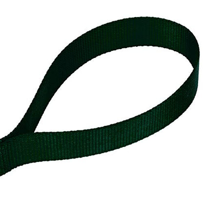 Country Brook Petz - Green Martingale Heavyduty Nylon Dog Collar and Double Handle Leash (1 Inch, Large) - color: Green, size: Large (Pack of 1)