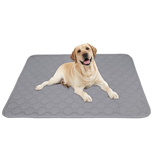 Washable Reusable Dog Pee Pads 28”x 40”,Waterproof Non-Slip Potty Training Pads for Dogs and Cats Puppy,Fast Drying Travel Pet Pee Pads，Leak-Proof Cat Potty Pads - size: 28” x 40”