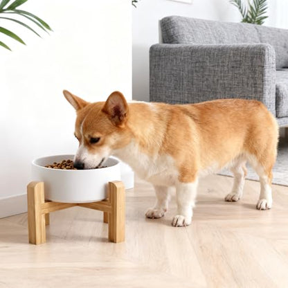 Elevated/Raised Ceramic Dog Bowl with Bamboo Stand，6 Inch 3.6 Cups Non Slip Heavy Weighted Single Pet Dish, for Small Medium Breed & Cats,Reduces Neck Strain White - color: White, size: 3.6 Cups - Medium