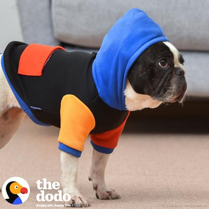 The Dodo Dog Hoodie, Black Colorblock, Size Medium; Everyday Apparel for Dogs, Cute Dog Sweatshirt, Cute Clothes - size: Medium