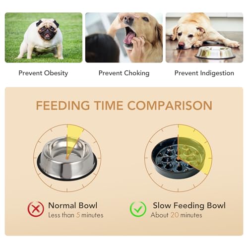 Havniva 1.6 Cup Elevated Slow Feeder Dog Bowls, 8.2” Dog Slow Feeding Bowls + 7.3” Ceramic Dog Water Bowls Set with Acacia Wood Stand Dog Food Bowls Puzzle Feeder for Medium Dogs Non-Slip Anti-choking - color: 2 x Starry Sky + Stand - C, size: L- 8.2inch