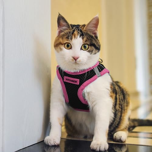 Best Pet Supplies - All Weather Mesh/Plush, Reflective, No Pull Harness for Small, Medium Dogs, Cats - Secure with Hook & Loop Fastener, Buckle, Double D-Rings - Black/Pink Trim, S - color: Harness (Black/Pink Trim), size: S (Chest: 14.5 - 16")