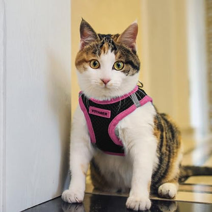 Best Pet Supplies - All Weather Mesh/Plush, Reflective, No Pull Harness for Small, Medium Dogs, Cats - Secure with Hook & Loop Fastener, Buckle, Double D-Rings - Black/Pink Trim, S - color: Harness (Black/Pink Trim), size: S (Chest: 14.5 - 16")