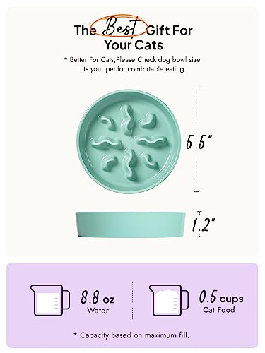 Ceramic Slow Feeder Dog Bowls Small Breed, 0.5 Cups Dog Food Dish for Fast Eaters, Puzzle Bowl for Small Dogs and Cats, 5.5 Inch-Turquoise - color: Turquoise