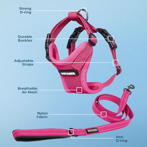 Best Pet Supplies Voyager Step-in Lock Pet Harness w Reflective Pet Leash Combo Set with Neoprene Handle 5ft - Supports Small, Medium and Large Breed Puppies/Cats - Fuchsia, XS - color: Harness Leash Set (Fuchsia), size: XS (Chest: 13 - 16")