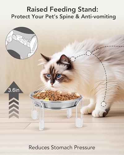 Elevated cat Bowl, 6.3" Wide Raised Stainless Steel Cat Food and Water Dishes, Small Dog Bowl, Whisker Friendly, Anti-Vomiting, Neck Stress-Free, Non-Slip Stainless Steel Stand with 4 Legs- 2Pack - color: 2PC