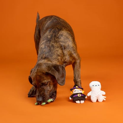 Fringe Studio Pet Toy, Ghouls Wanna Have Fun Plush Dog Toy 3 PCS Set,Pet Shop Collection (662192) - color: Ghouls Wanna Have Fun