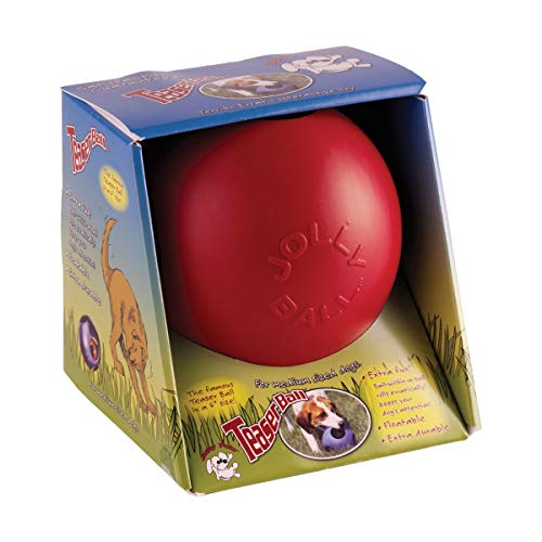 Jolly Pets Teaser Ball Dog Toy, Medium/6 Inches, Blue, Jolly Pets 6-Inch Teaser Ball, Blue - color: Blue, size: Medium (6 in)