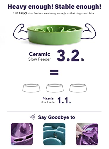 LE TAUCI Slow Feeder Dog Bowls Ceramic, 1.5 Cups Dog Food Bowl, Puppy Slow Feeder Dish for Fast Eaters, Clover Green - color: Clover Green, size: M-1.5 Cups