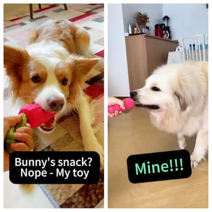 MewaJump Easter Toys Dog Squeaky Chew Toys for Aggressive Chewers, Rubber Carrot Dog Toys for Training and Cleaning, Durable Interactive Tough Dog Toy for Puppy Medium Dogs - color: carrot pink