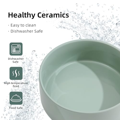 Havniva 8.3inch Ceramic Raised Dog Bowl with Stand, Double Dog Bowls Elevated for Large Breed Dog Food and Water Bowl Set Non-Slip Dog Dish Large Capacity Feeding Pet Water Bowl - color: 2 Bowls+Stand - Light Green, size: 8.3inch