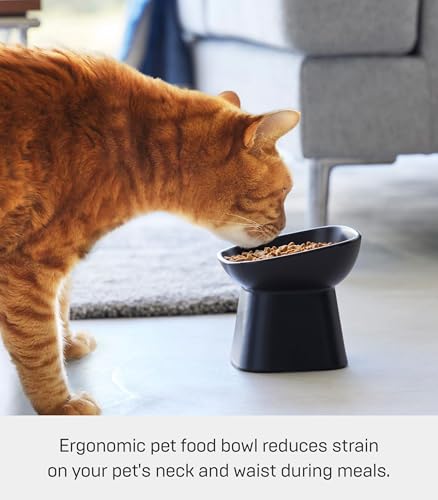 Yamazaki Home Tower Elevated Ceramic Pet Food Bowl - Angled, Non-Slip, Microwave & Dishwasher Safe - 6.7Oz - color: Black