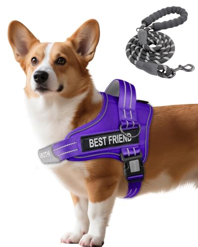 AUROTH Dog Harness and Leash Set, Soft Padded Service Dog Vest with 5.25FT Dog Leash, No Choke, Easy On Pet Vest, Adjustable Reflective No Pull Pet Vest Medium Sized Dog, Easy Walking and Training - color: Purple, size: M(Neck:17.7"-24",Chest:23.6"-31.9")