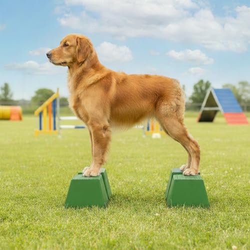 Stacking Blocks for Dog Shows, Professional Dog Stacking Training Platform, Show Ring Feet Position Trainer, Non Slip Stable Base, Breed Stance Support (Green) - color: Green
