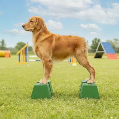 Stacking Blocks for Dog Shows, Professional Dog Stacking Training Platform, Show Ring Feet Position Trainer, Non Slip Stable Base, Breed Stance Support (Green) - color: Green