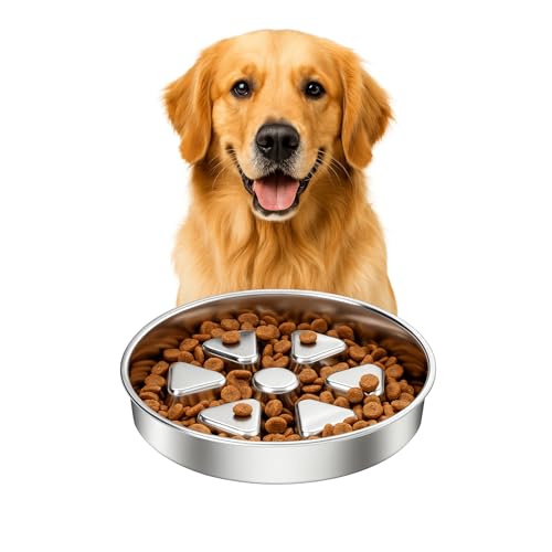 Kactoily 304 Stainless Steel Slow Feeder Dog Bowl, 2.5 Cups Non-Slip Pet Bowl, Raised Design for Slow Eating & Digestive Health - Perfect for Medium Large Dogs