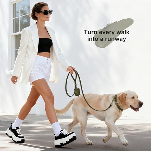 Didog Stylish Dog Poop Bag Holder for Leash, Easy-Pull and Colorful PU Leather Dog Poop Bag Dispenser with Metal Clip, Includes 1 Roll Pet Waste Bag for Daily Walking,Dark Green - color: Dark Green