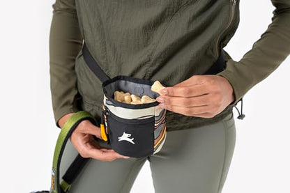 OllyDog, Goodie Treat Bag, Dog Treat Training Pouch | Magnetic Closure | 3 Ways to Wear | Hands-Free Waist Belt | Water-Resistant Recycled Vegan Fabric (Ventura '73) - color: Ventura '73