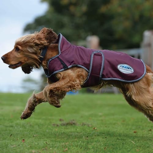 WeatherBeeta ComFiTec Windbreaker Free Deluxe Dog Coat, Maroon/Grey/White, 12" - color: Maroon/Grey/White, size: 12"