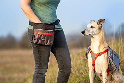 iEnergy™ ELI Belt Pouch: Ideal Dog Training Accessory, Hands-Free Dog Walking Belt with Treat Pouch, Magnetic Closure, Waist Pack for Dog & Horse Owners - Perfect Dog Hiking Gear (Green)