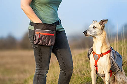 iEnergy™ ELI Belt Pouch: Ideal Dog Training Accessory, Hands-Free Dog Walking Belt with Treat Pouch, Magnetic Closure, Waist Pack for Dog & Horse Owners - Perfect Dog Hiking Gear (Green)